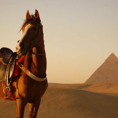 Egyptian folklore music