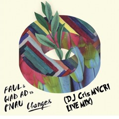 Faul & Wad Ad Vs. Pnau - Changes (DJ Cris Macri Live Mix)
