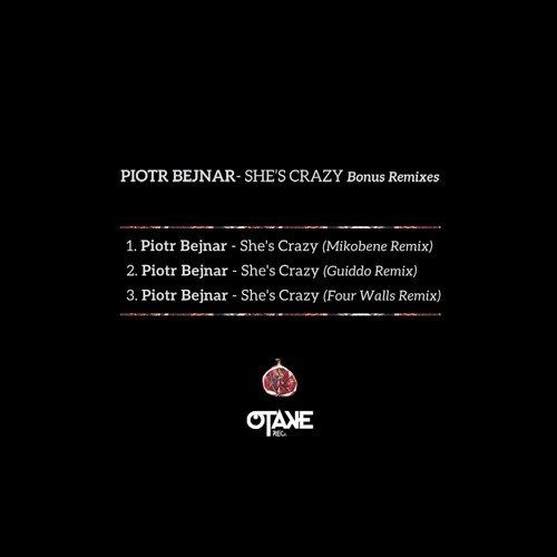 Piotr Bejnar - She's Crazy (Guiddo Remix)Snippet