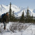 Artwork for Into the Wild- "Best Unsaid" (Christopher McCandless/Alexander Supertramp Remix)