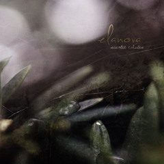 In The Morning Spring