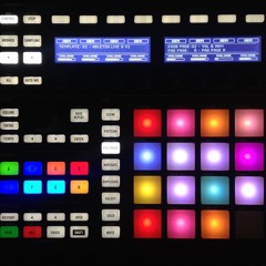 Gold Drops Flips Vol. 2 (dilly dilly)