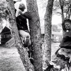 Broken Branches Fertile Ground Cover