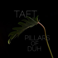 Pillars of Duh