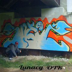 Lunacy - I Had To Get Your Digits