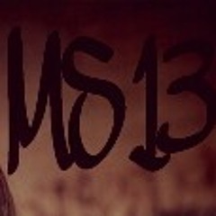 MS13