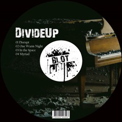 Divideup - In The Space