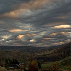 Undulatus (Stereo)