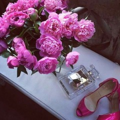 انشودة السعوديه