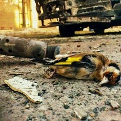 صوت صفير البلبل