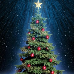 J.Bone V.I. ~Errday Christmas (OfficialAudio)