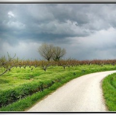 تلاوة بديعة لسورة السجدة من روائع فجريات الحرم 1433هـ ش.عبدالله الجهني