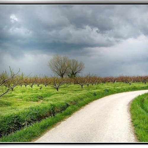 تلاوة بديعة لسورة السجدة من روائع فجريات الحرم 1433هـ ش.عبدالله الجهني