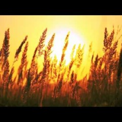liaudiska muzika mp3 liaudiska muzika mp3
