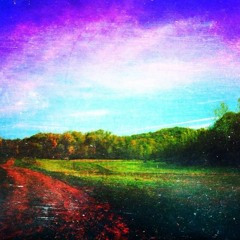 Two Headed Boy Pt 2 (live Neutral Milk Hotel cover - iPhone recording)