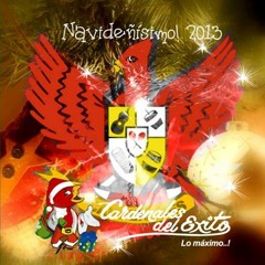 Cardenales del Éxito 2013 - Mensaje Navideño