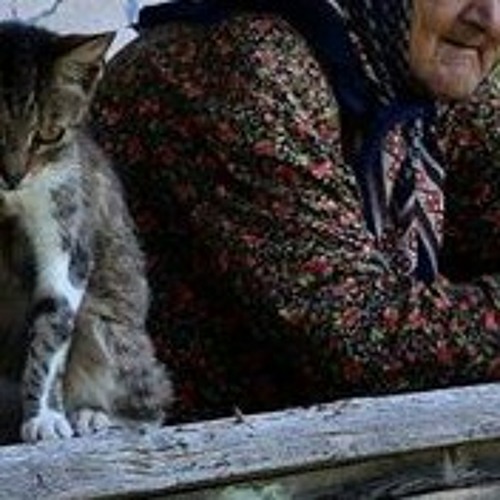 Ne feryad edersin divane bülbül