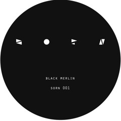 SORN 001: Black Merlin - Orbit CLIP