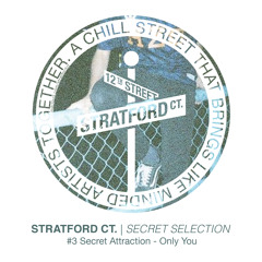 Secret Attraction - Only You [Secret Selection]