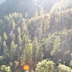 With The Wind ft. Layla Aghaee & Spencer Oey