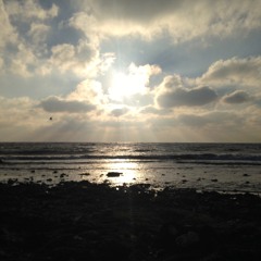 The Value Of Young André