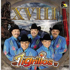 ***LOS TIGRILLOS*** MIX>>>    (las cumbias de aquillos tiempos)