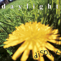 Daylight - Selfish