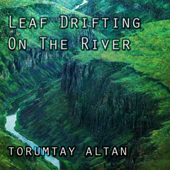 Leaf Drifting On The River // Finalist 2014
