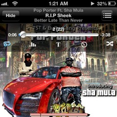 Rip Sheek