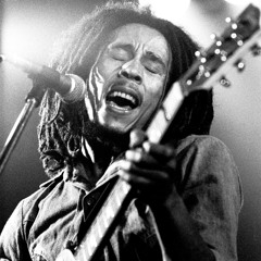 Bob Marley "Rock To The Rock" REMIX !!!
