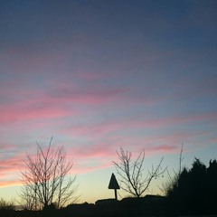 New Years Resolution