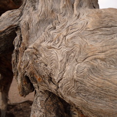 Solo Prepared Piano - (Eve Risser : Improvisation)