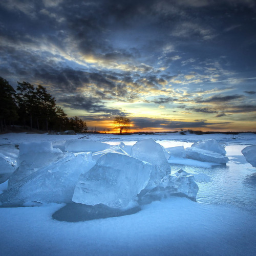 Winter Is Come (microForj.Westerkerk.Carillon Demo)