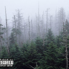 L o s t i n d a f o r e s t  [prod.  by Tundra2K]