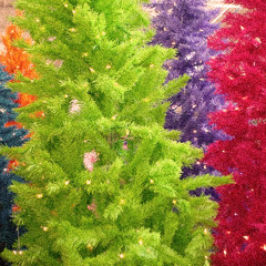 SUNBEARS! - Christmas Time is Here