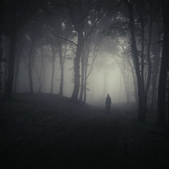 EvenS - Ascertain (Free Download)