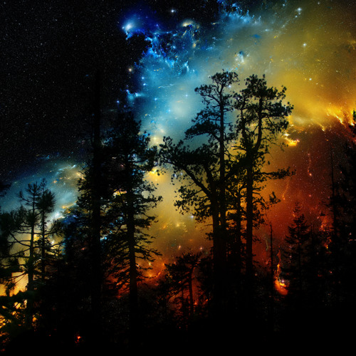 Forested (anne vanschothorst mix)