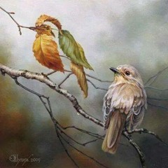 (( دل نگو )) از گیتی (1)