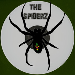 The Spiderz - Earth Moods (Beatless mix)