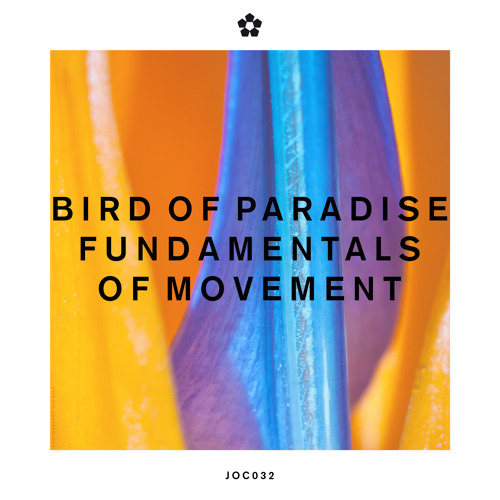 Bird Of Paradise - Transporter (Join Our Club)