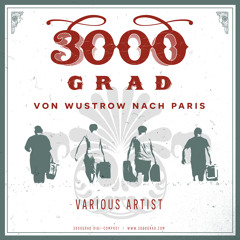 3000Grad Digi-Comp001 "Von Wustrow nach Paris" Various Artist
