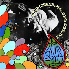Liquid Sound Company - Liquid Sound Freedom (Acid Music For Acid People)