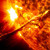 Artwork for Solen (parallellt Eller 90 Grader)By Bo Hansson
