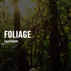 Foliage - Eyjafjallajokull