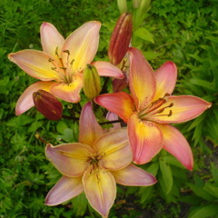 Spiritual Growth