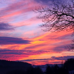 Le matin
