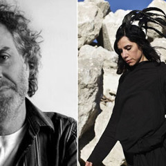 PJ Harvey Read  The Guest Room