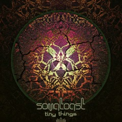 01 Somatoast -  Microportal