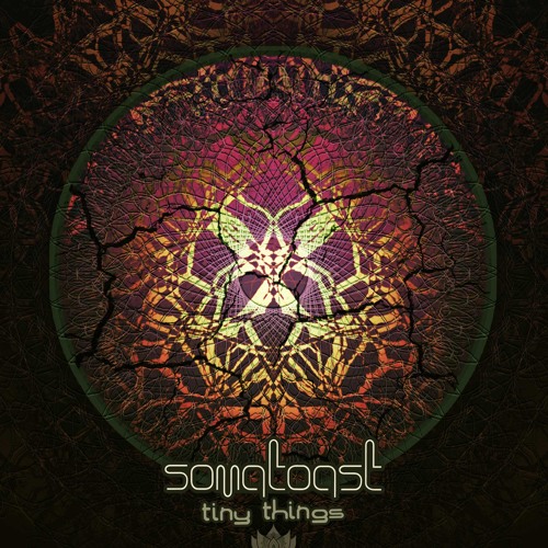 01 Somatoast -  Microportal