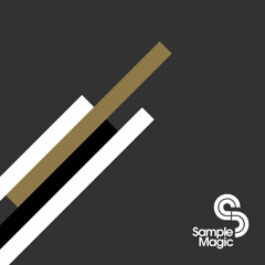 SM101 - Vintage Breaks Vol 4 Demo